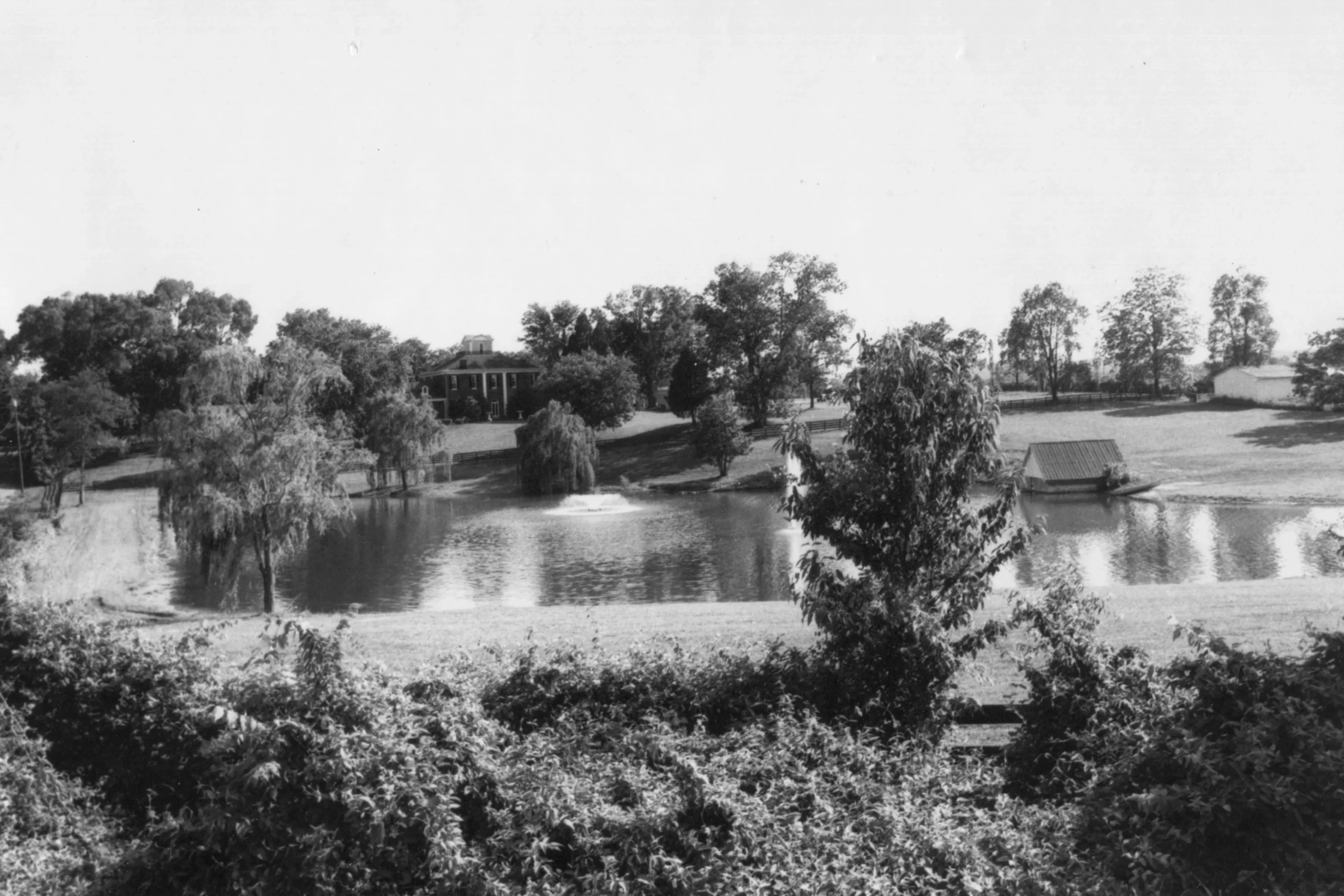 Vintage black-and-white photograph of a tree-lined lake with a distant pavilion